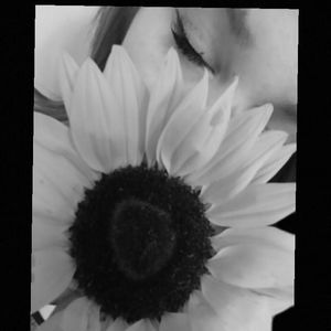 Meet your Posher, Violet